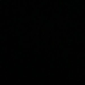 Meet your Posher, Isabelle